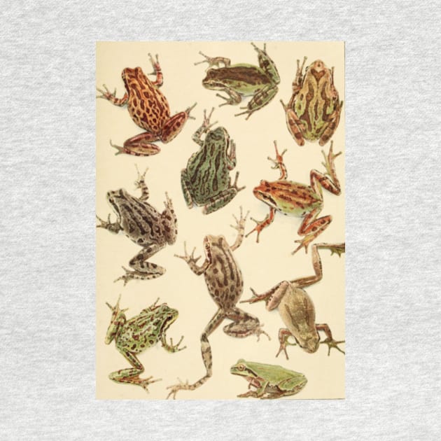 Vintage Frogs by bluespecsstudio